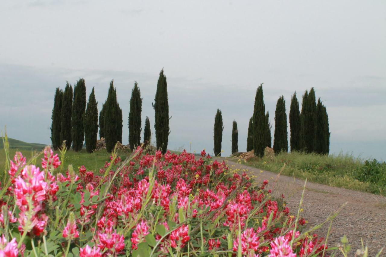 Agriturismo Cantagalli San Quirico dʼOrcia Dış mekan fotoğraf