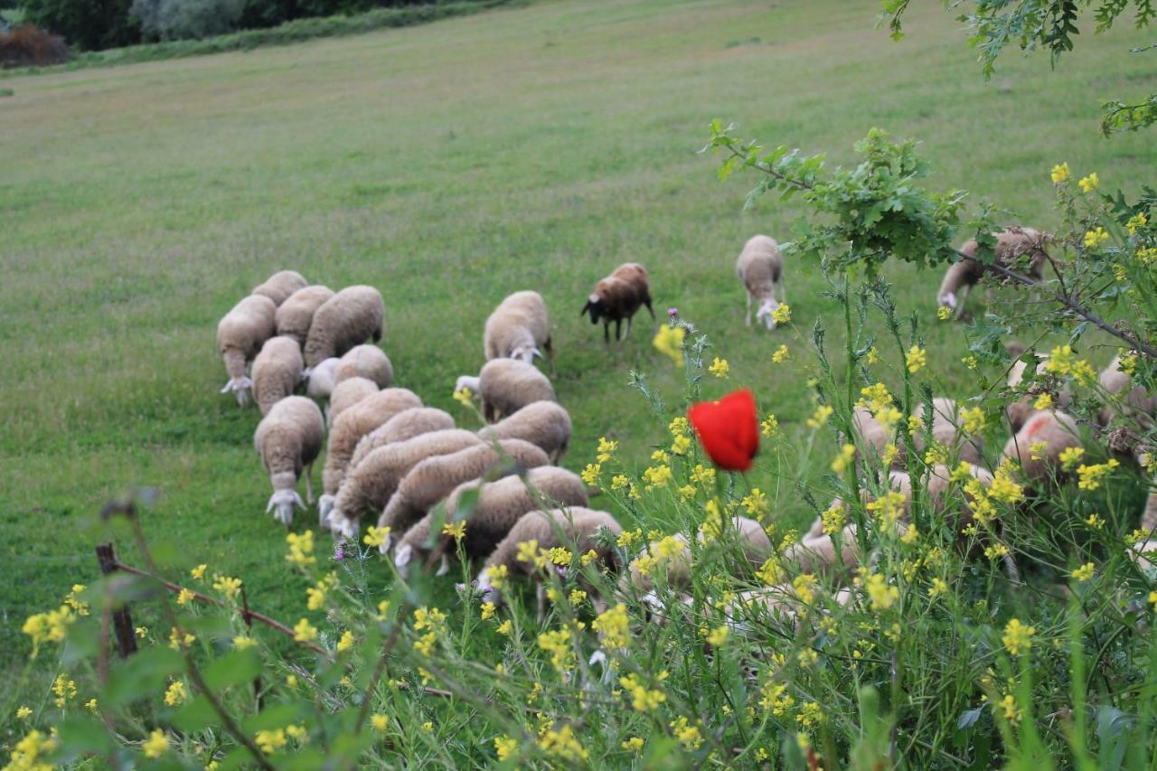 Agriturismo Cantagalli San Quirico dʼOrcia Dış mekan fotoğraf
